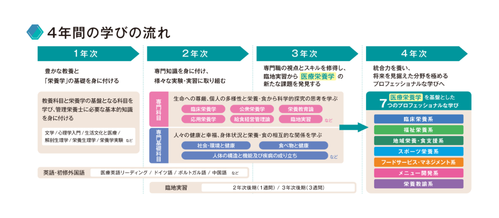 4年間の学びの流れ