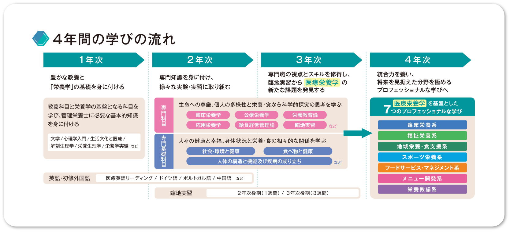 4年間の学びの流れ